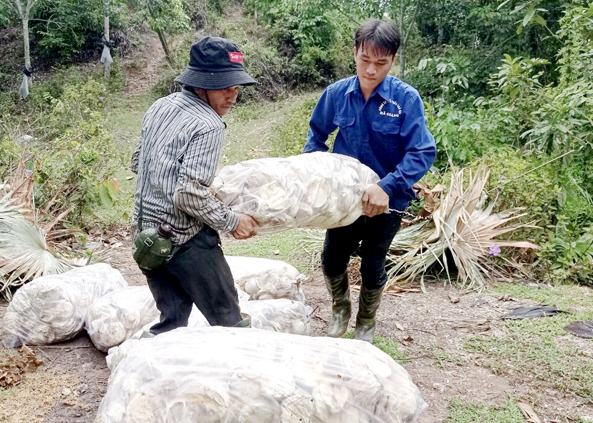Cơ hội làm việc trong các công ty Cao su